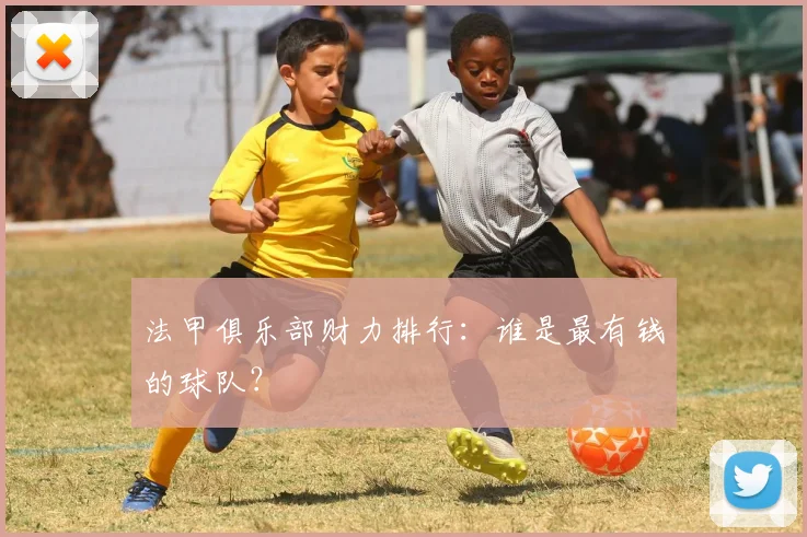 法甲俱乐部财力排行：谁是最有钱的球队？