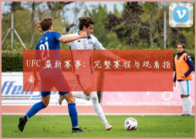UFC 最新赛事：完整赛程与观看指南