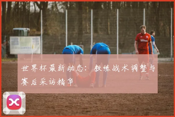 世界杯最新动态：教练战术调整与赛后采访精华