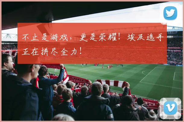 不止是游戏，更是荣耀！埃及选手正在拼尽全力！
