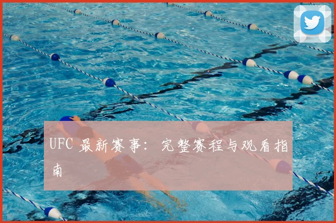 UFC 最新赛事:完整赛程与观看指南